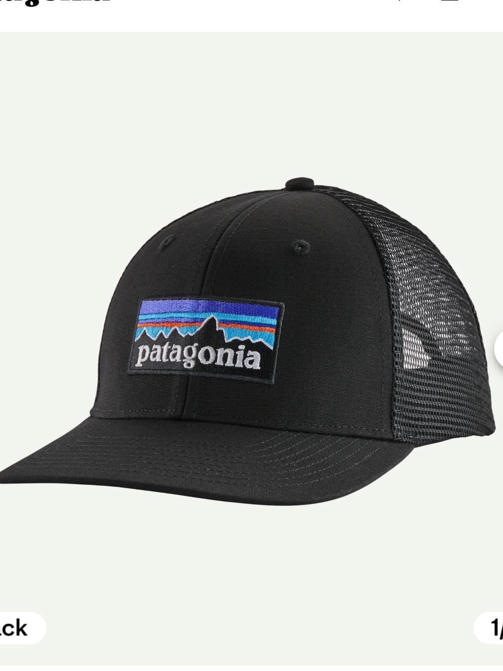 Patagonia P-6 Logo Trucker Hat